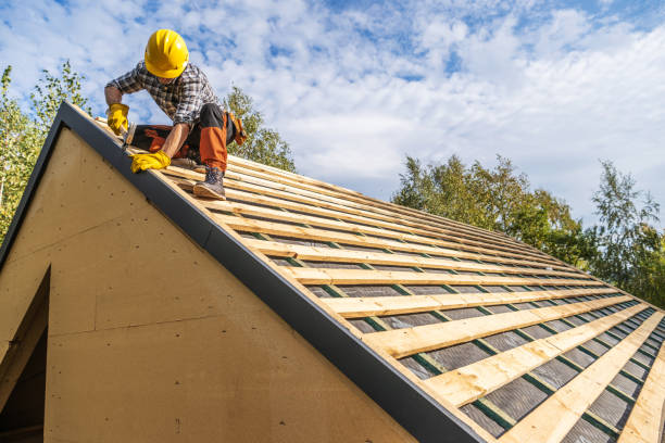 Best Roof Waterproofing Services  in Coon Rapids, IA
