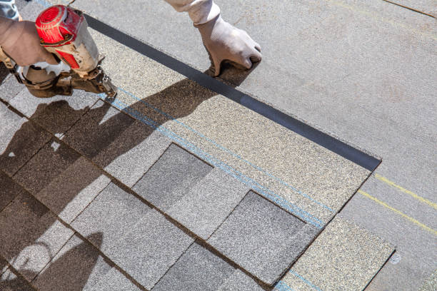 Best Metal Roofing Contractor  in Coon Rapids, IA